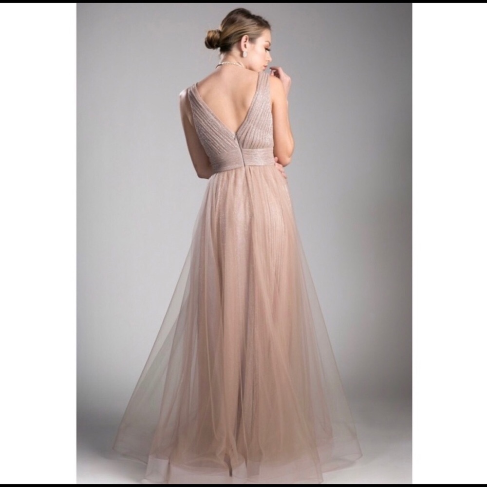 Cinderella Devine A-Line dress (Rosegold color)
